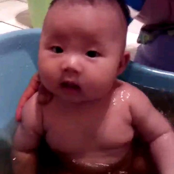 蒲公英