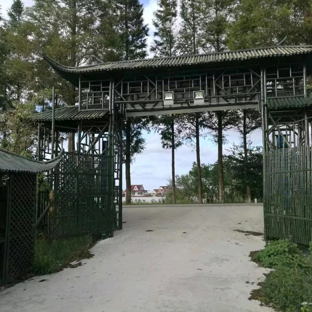 元郎