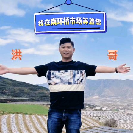 @洪哥