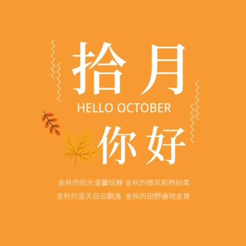 拾月🐰
