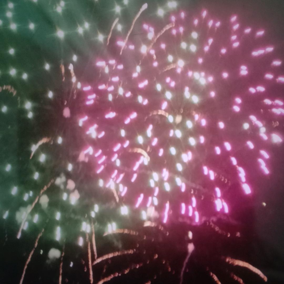 人心太假我确太傻