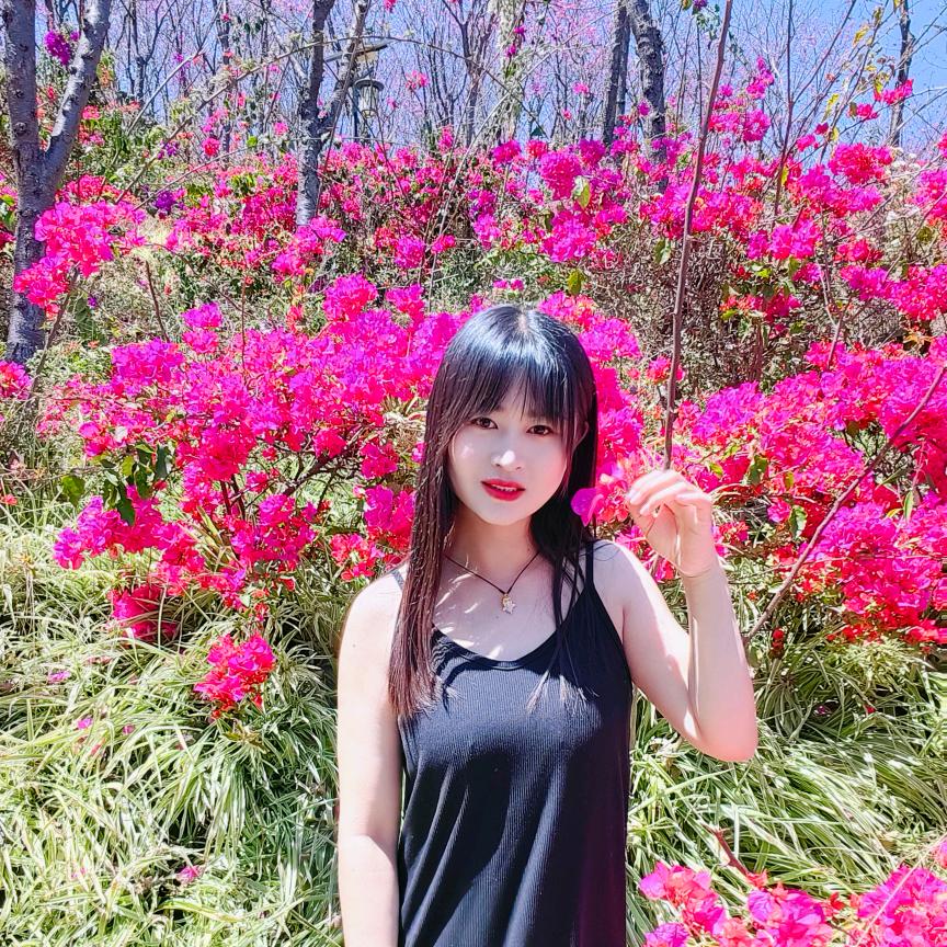 会-会