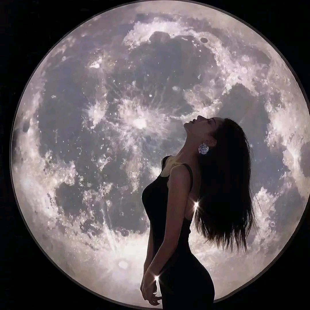 b星星⭐