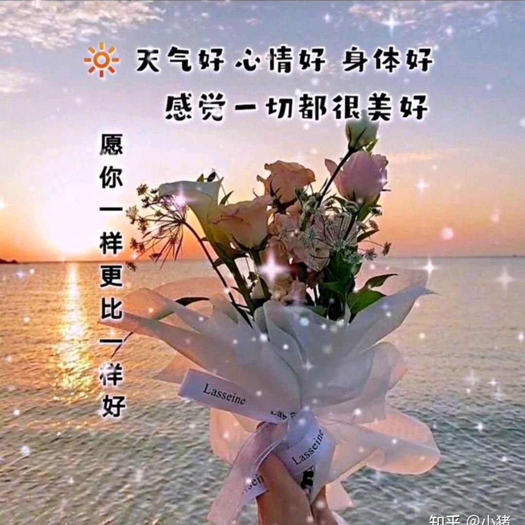 丽彩满霞