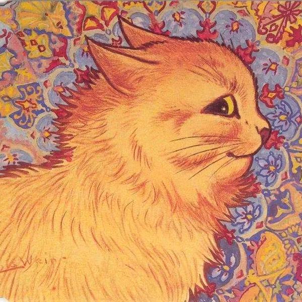 猫耳朵