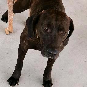 重庆户外阿成3号