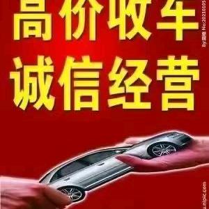 威宁老龙二手车