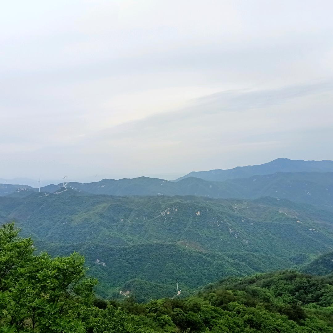谈琴、不弹情