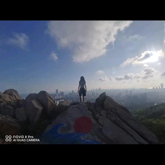 (反读经)           救救孩子