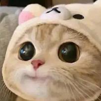 宇宙无敌超级最强最厉害暴龙战士