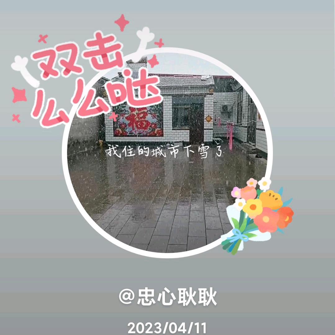 忠心耿耿