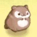 小黄收显卡（50者也）