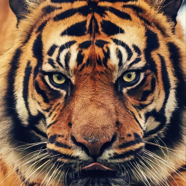 营前汇泉龙舟！