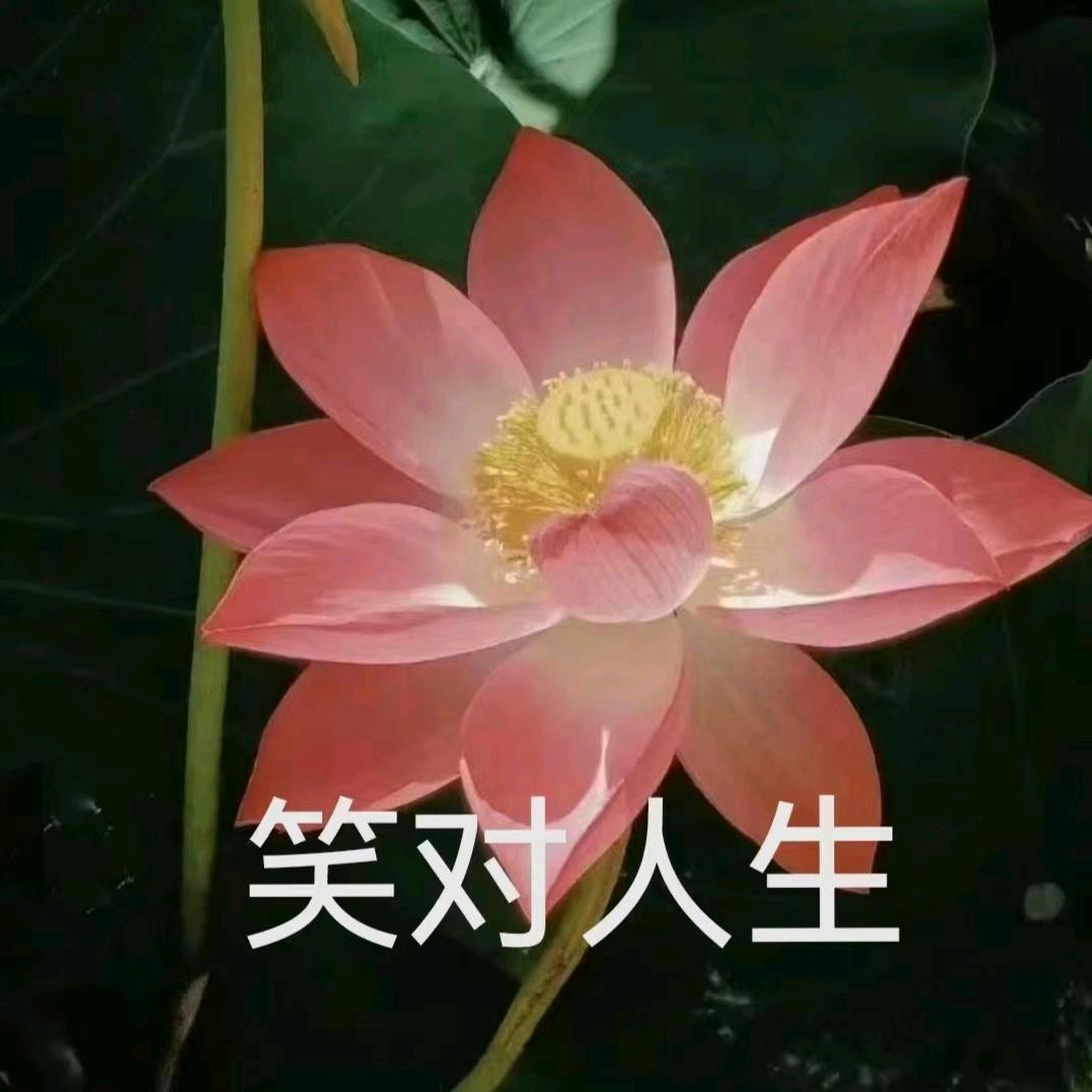 66大顺