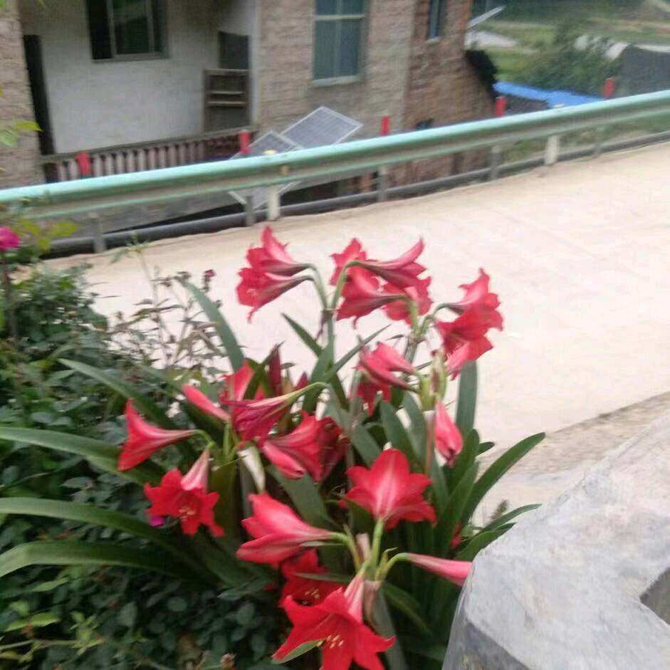 梦回往昔