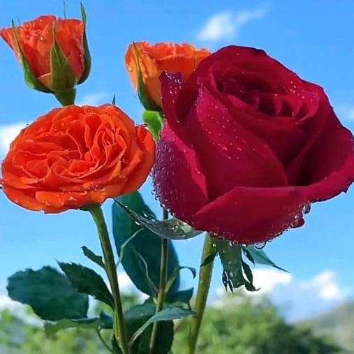 《顺其自然～》