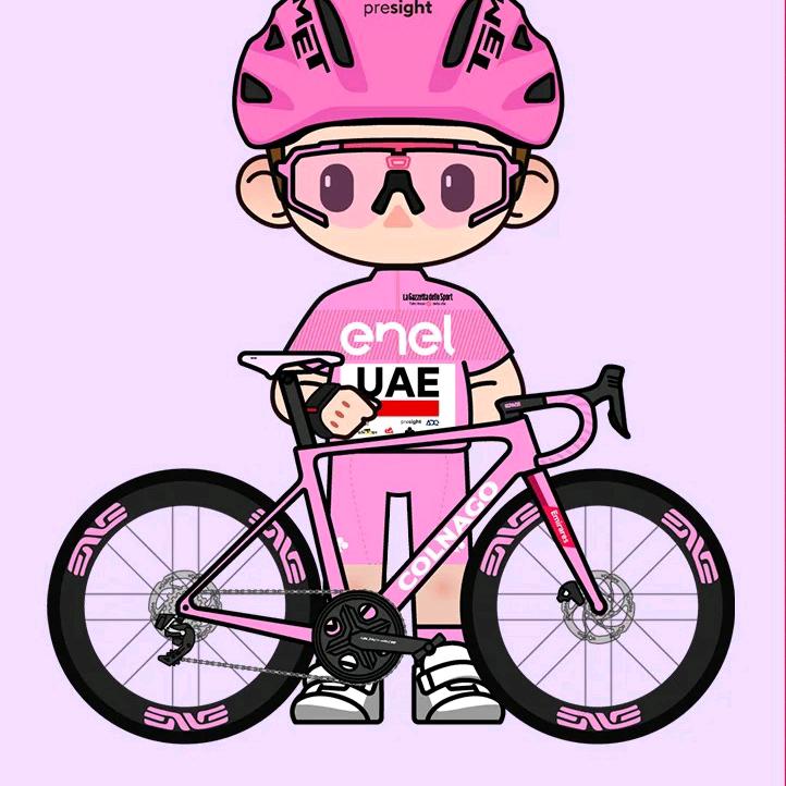 不爱骑车的大Pro