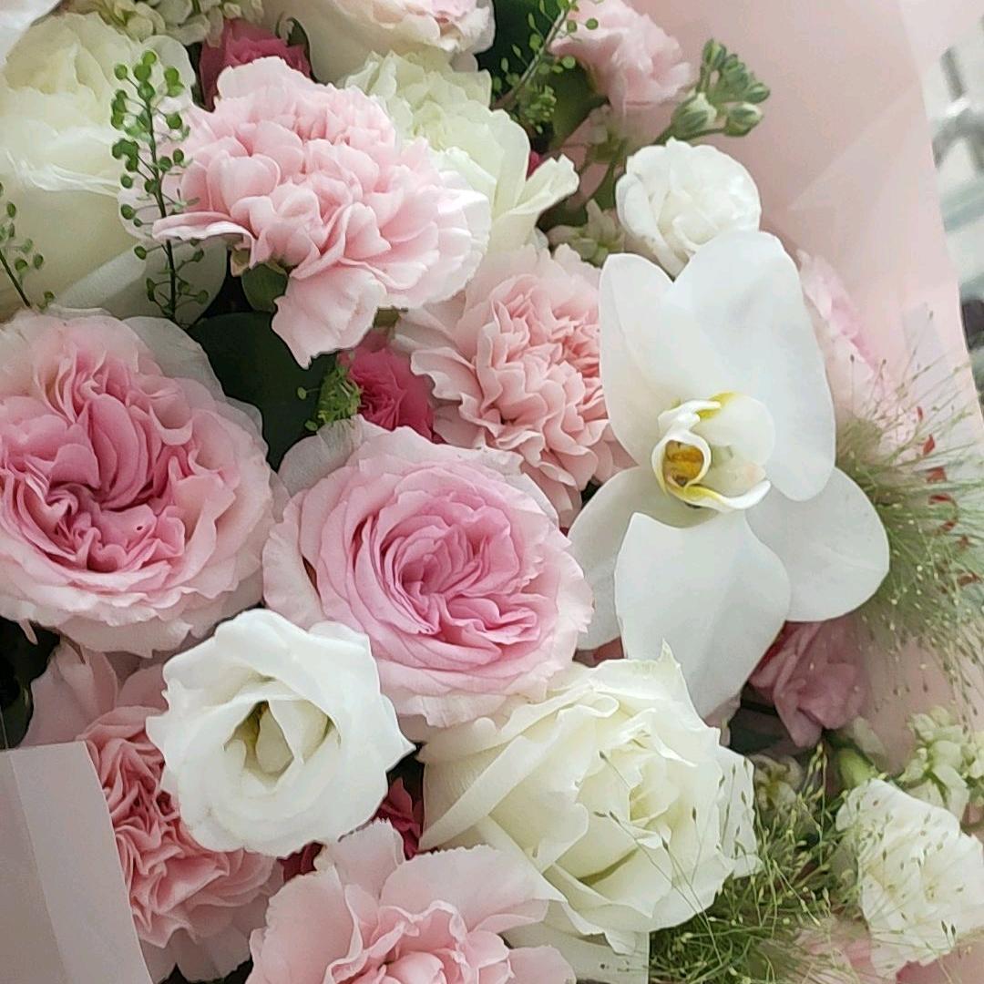 仰望幸福💍一切随缘