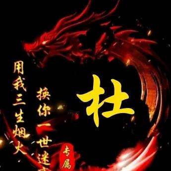老杜