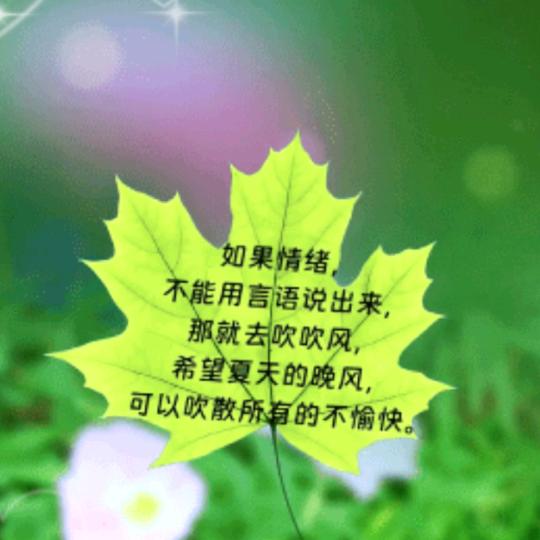 花夕 ✧٩(ˊωˋ*)و✧