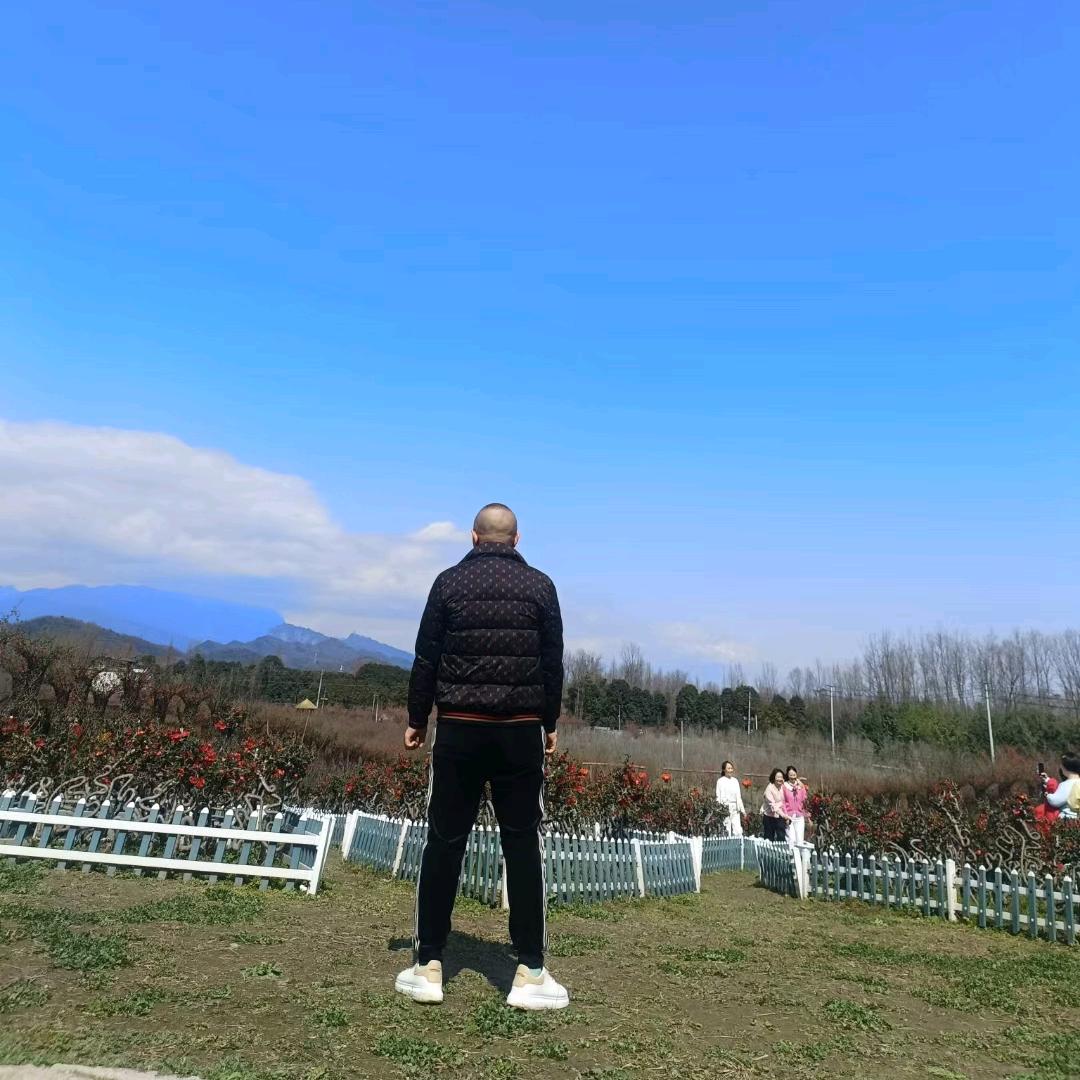 ꩵ꯭往事随风꧔ꦿ🍃