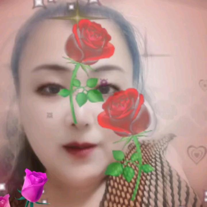 🌹红玫瑰🌹