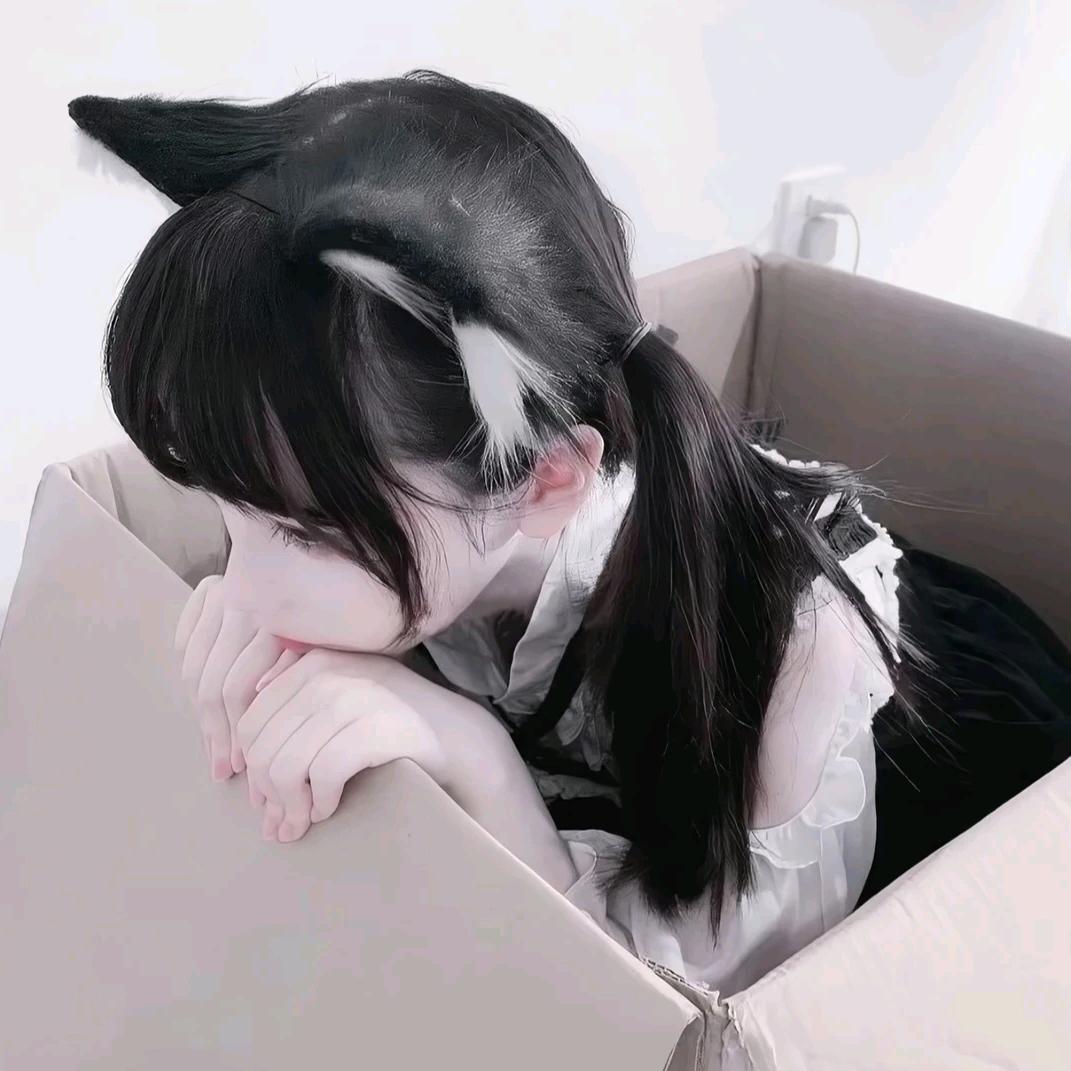 小兔fufu