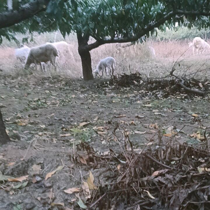 我以不是当年的我