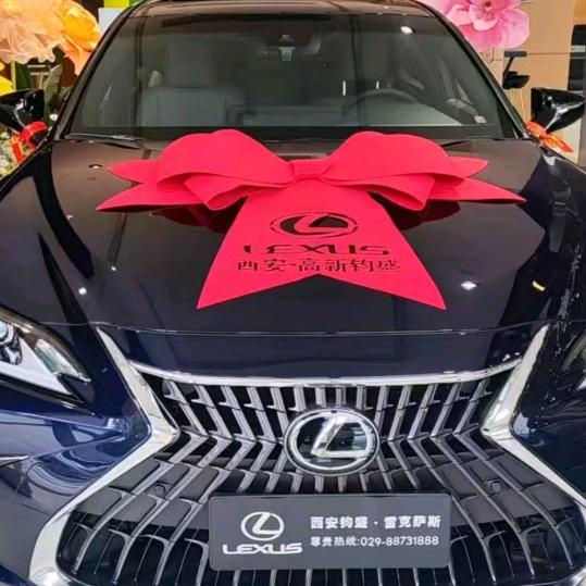 汽车🚗年审一站式服务