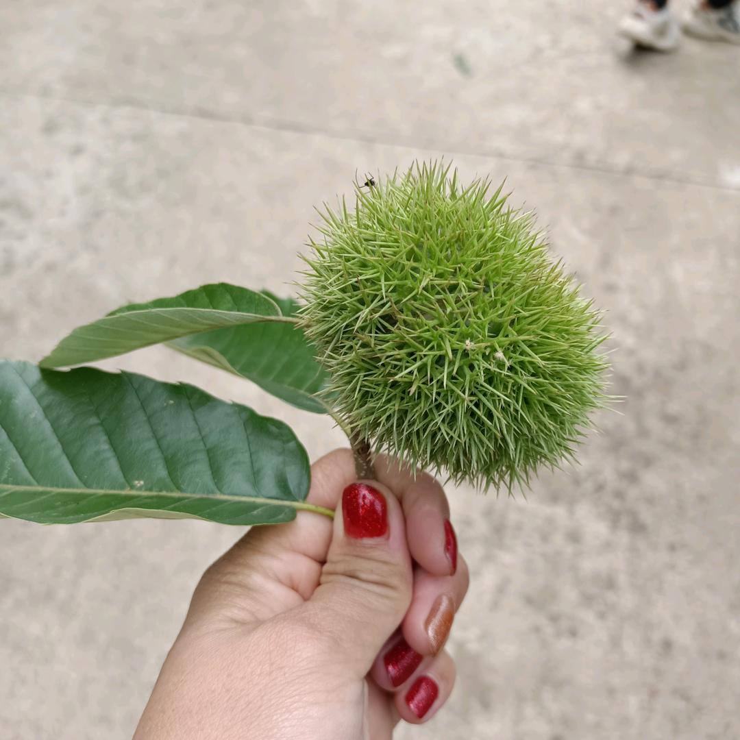 吴忧无虑