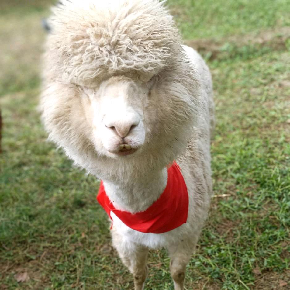 ღ᭄别碰💔我心꧔ꦿ᭄ 🥀 ໑