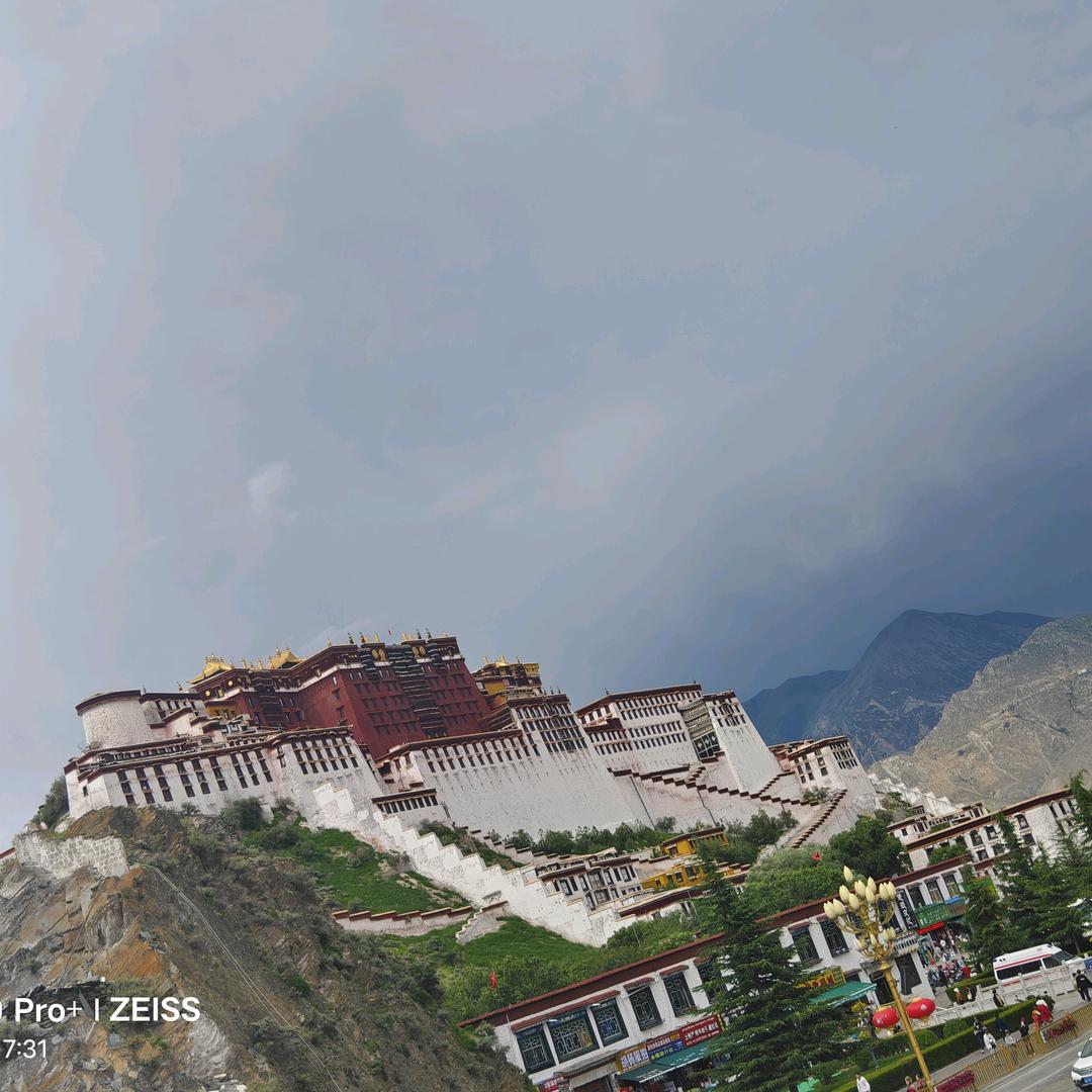 顾胖胖，营养健康粗粮专业户