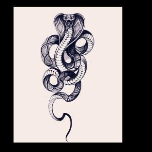 陈盼盼，我的继承人。