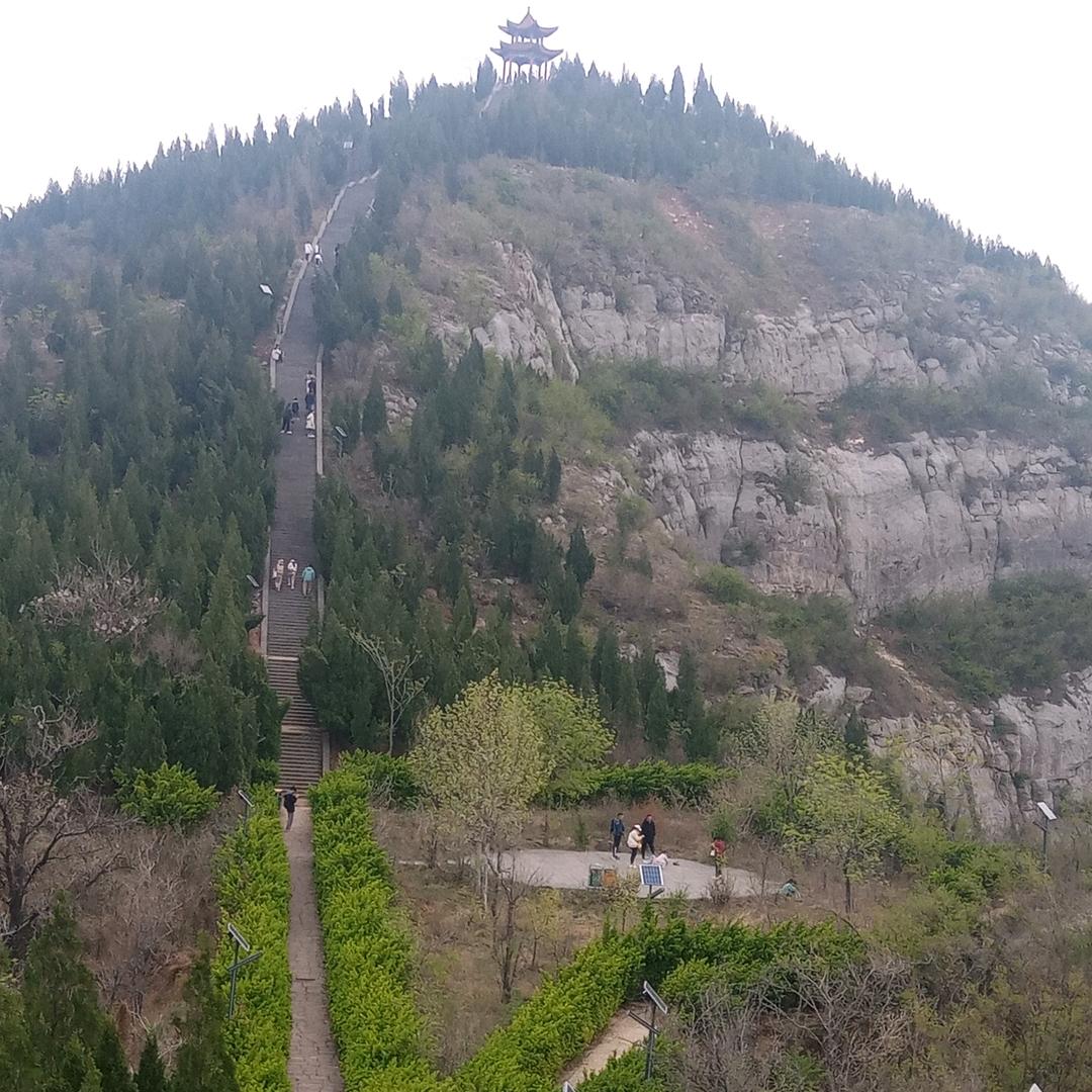 千祥云集&万象皆春