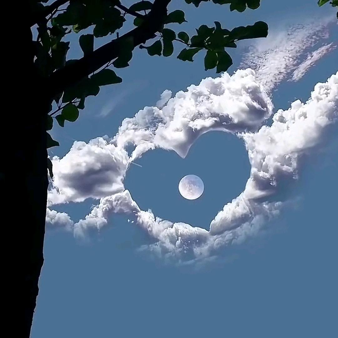 এ᭄悠然࿐এ