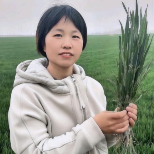 劲达强.娜娜
