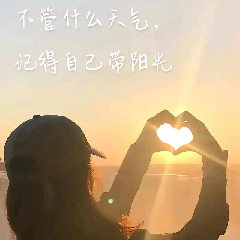 简木。