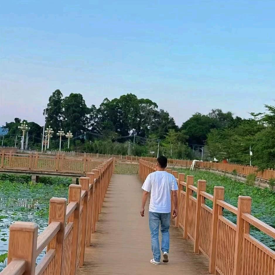 佳好年华