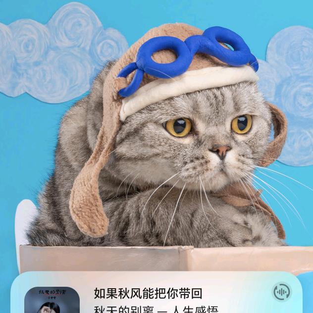 缘分