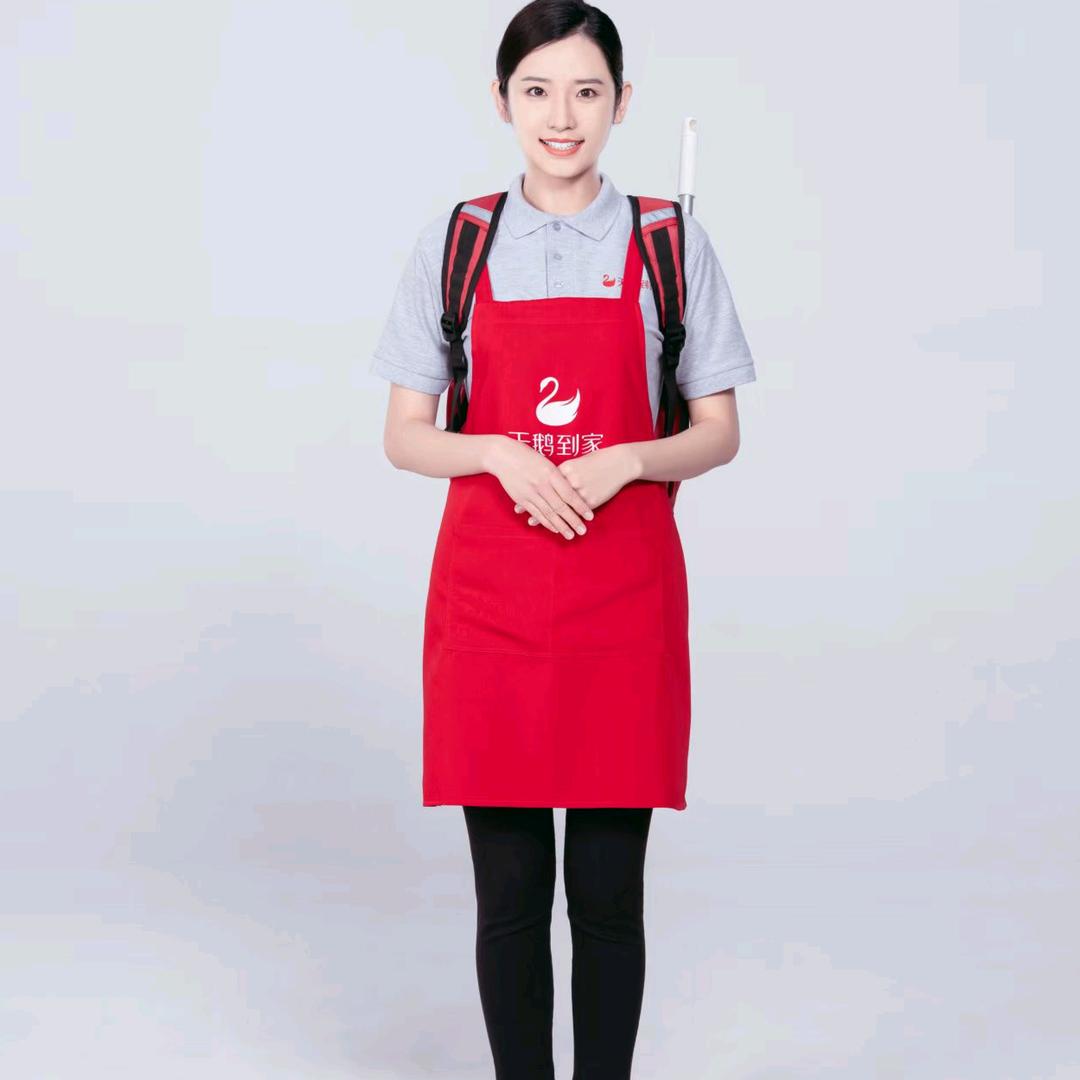 家政服务找天鹅到家