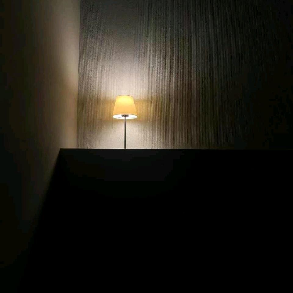 独宠☀️