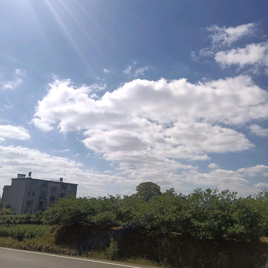 曲水无言戏年月┗(