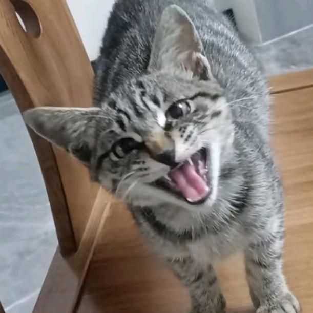 拉不到200kg不改名