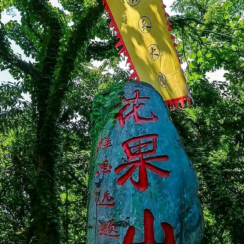 花果山上的猴乐队