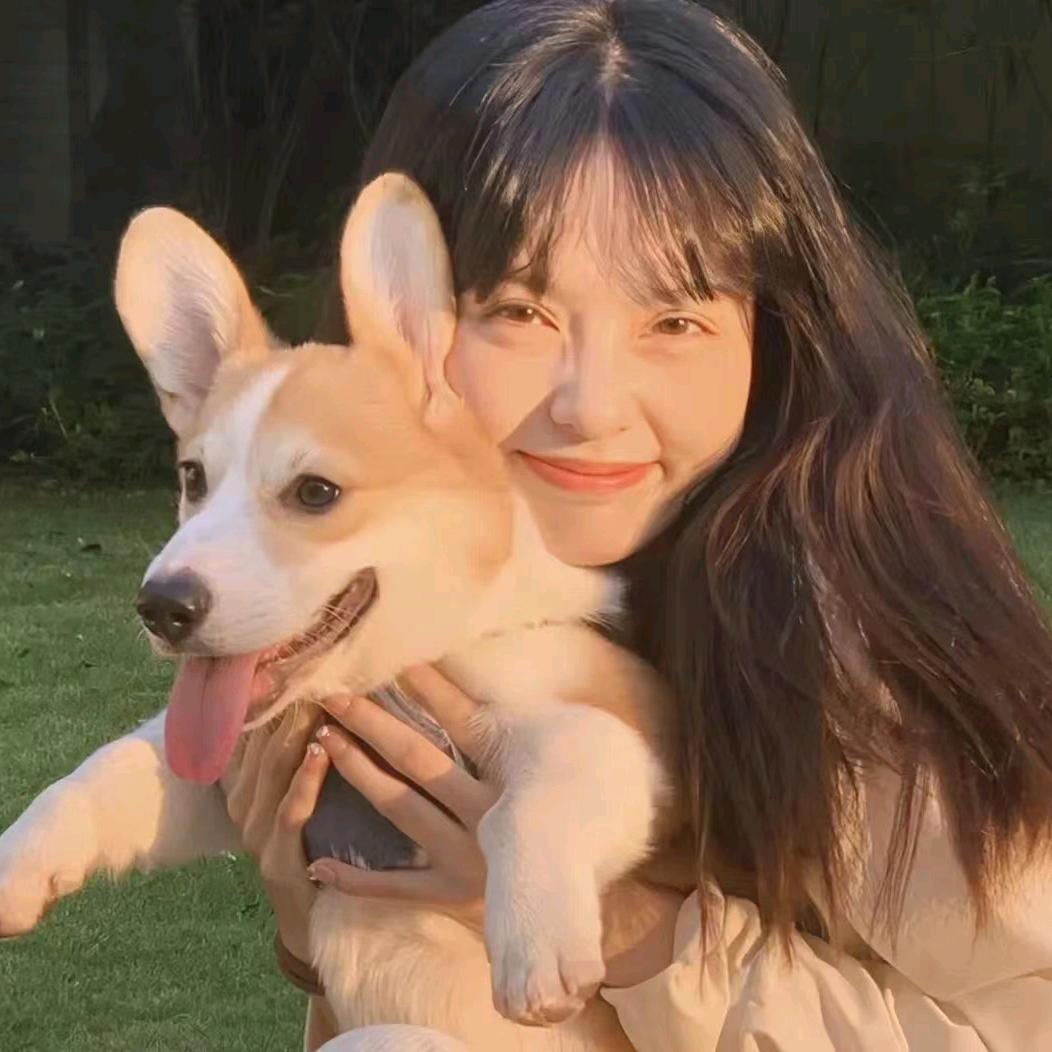 朝晖⁵²⁰好物