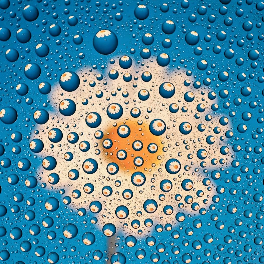 薯于你（贵航）