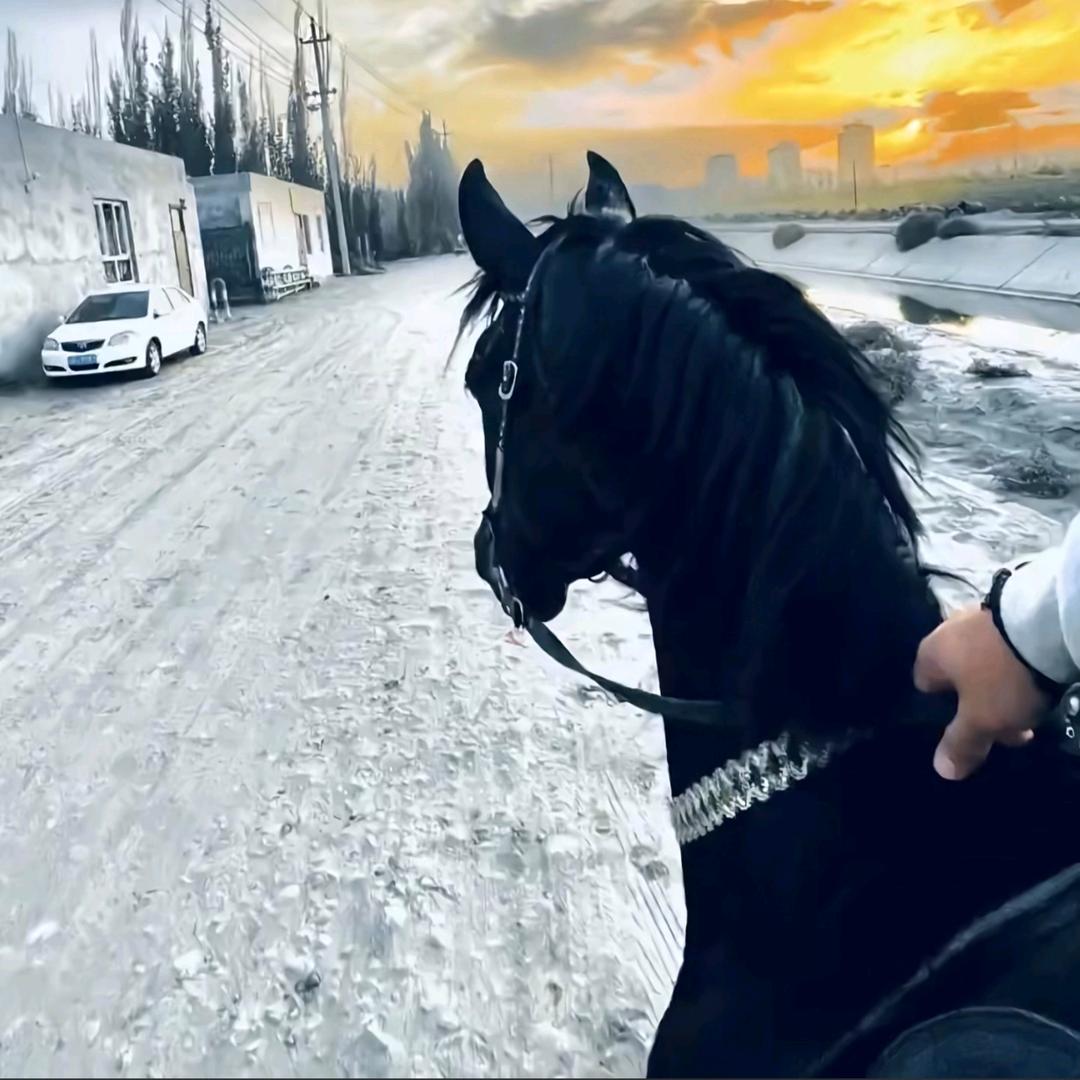 🏇སེམས་~~རྟ་ཕོ་🏇