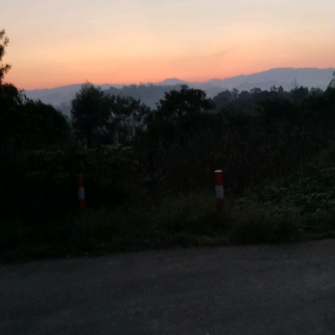 老国王