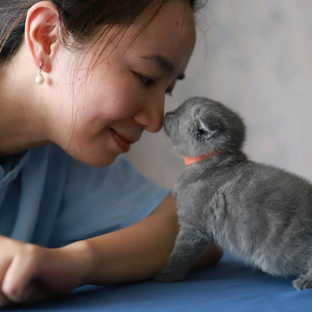 养昆虫“小白”