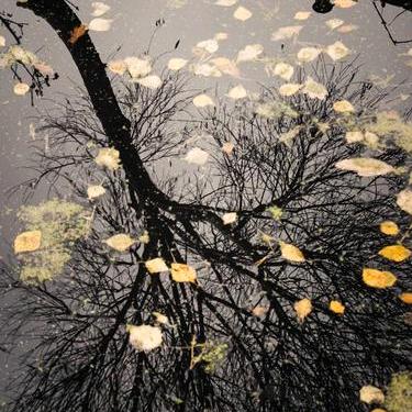 一帘幽梦👀ℳঞ